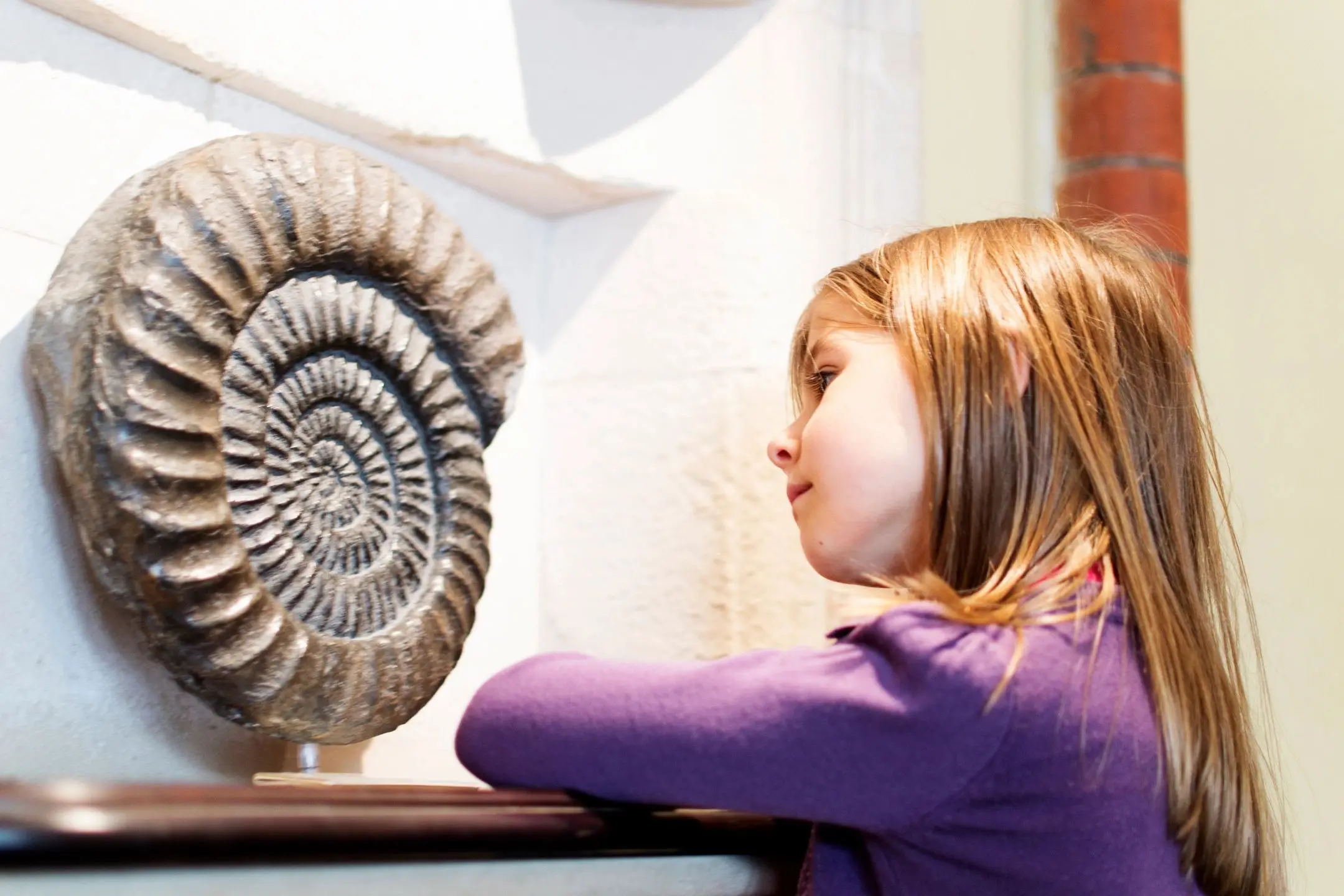 A young girl looking at an ammonite fossil.